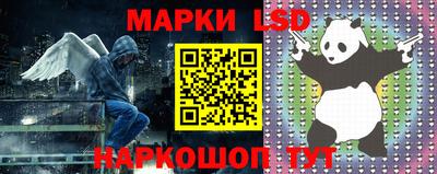спиды Боровичи