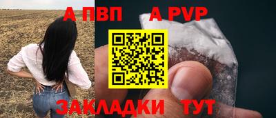 спиды Боровичи