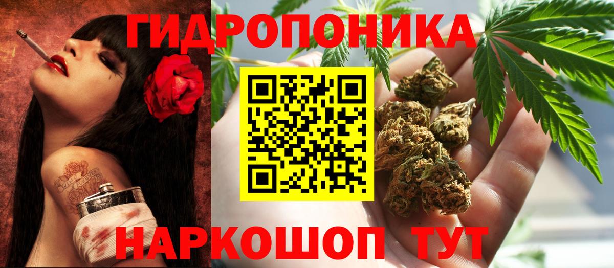 Шишки марихуана семена Астрахань